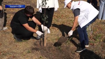 В Мариуполе появилась аллея клёнов в парке «Патриот»! 16.09.2026