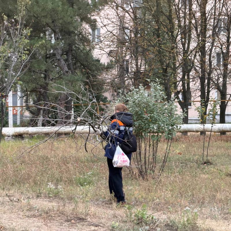 В парке Чернобыльцам прошел субботник В парке Чернобыльцам прошел субботник