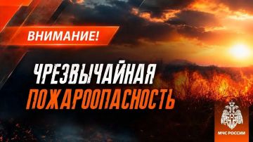 ������������ ��������������� (5 �����) � ���-��������� ������� ���, � ����������� � ���-�������� ������� - ������� ��������������� (4 �����) ��������� 17 ��������