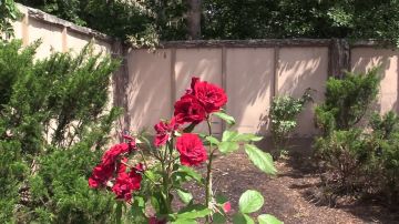 ����� �� � ��� �������� ��� ������������ ������������� ���������� ������� � �������� �� ���?
