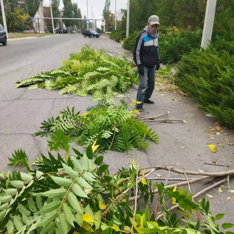 В парке Чернобыльцам прошел субботник В парке Чернобыльцам прошел субботник
