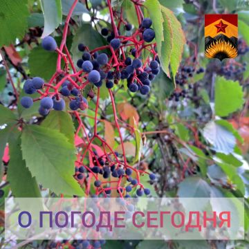 ��������� �����: ������������� ������� � ������ � ���������� ������