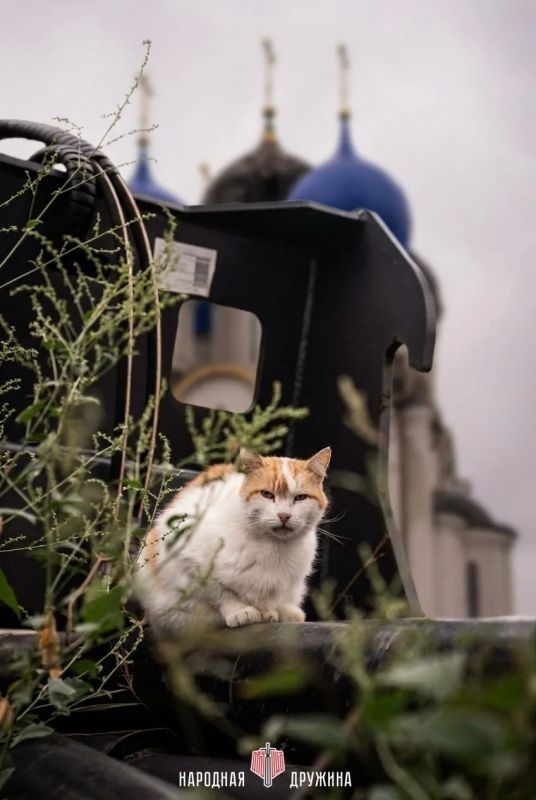 Земля, пропитанная молитвой и болью Земля, пропитанная молитвой и болью