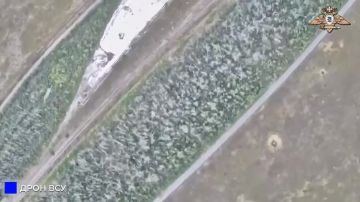 933 зрп уничтожил самолетный БЛА ВСУ