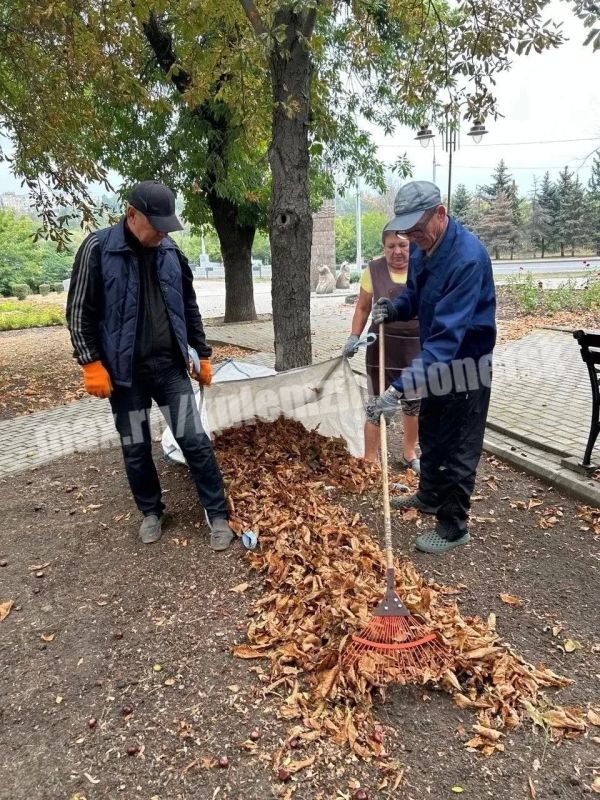 Продолжается работа по благоустройству парковых пространств Донецка Продолжается работа по благоустройству парковых пространств Донецка