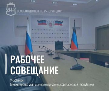Зампред Правительства Илья Емельянов провел рабочую встречу с советником министра угля и энергетики ДНР Александром Путяковым