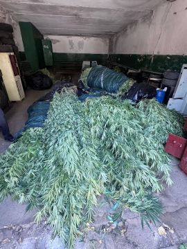 Житель Донецка уличён полицией в незаконном обороте наркотиков, патронов, пистолета и обреза ружья