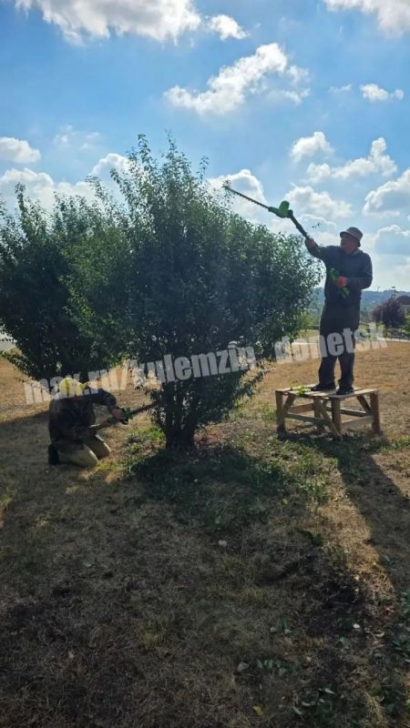 Продолжается работа по благоустройству парковых пространств Донецка Продолжается работа по благоустройству парковых пространств Донецка