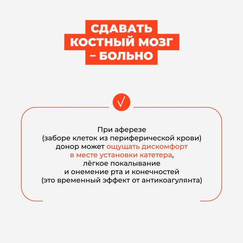 Донорство костного мозга — это страшно? Больно? И вообще, как это работает? Донорство костного мозга — это страшно? Больно? И вообще, как это работает?