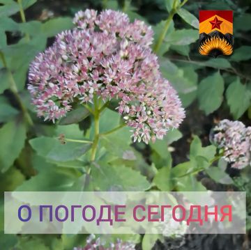 ��������� �����: ������������� ������� � ������ � ���������� ������