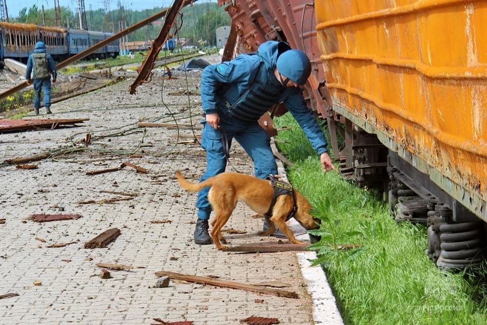 #МЧСДНР_СВОД за сутки. Ликвидировано 47 пожаров, из них 29 — ландшафтные