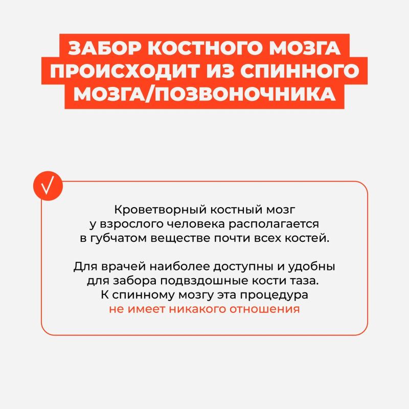 Донорство костного мозга — это страшно? Больно? И вообще, как это работает? Донорство костного мозга — это страшно? Больно? И вообще, как это работает?