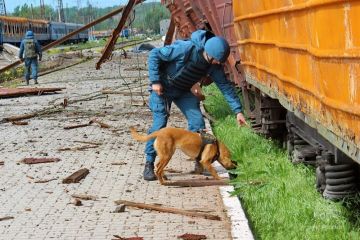 #МЧСДНР_СВОД за сутки. Ликвидировано 47 пожаров, из них 29 — ландшафтные
