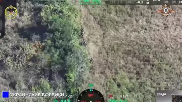 238 ���� �������� ����� ���� ����������