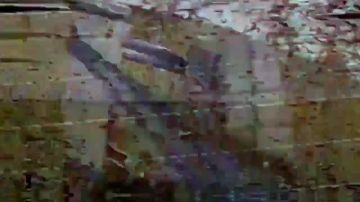 Группировка ЦЕНТР громит технику и пехоту врага в боях за Покровском, Мирноградом и в Днепропетровской области