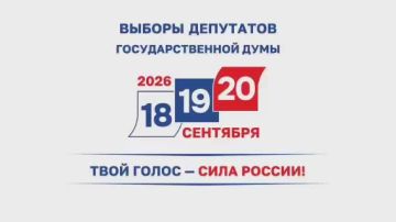 Голосование на выборах депутатов Государственной Думы в ДНР официально завершено