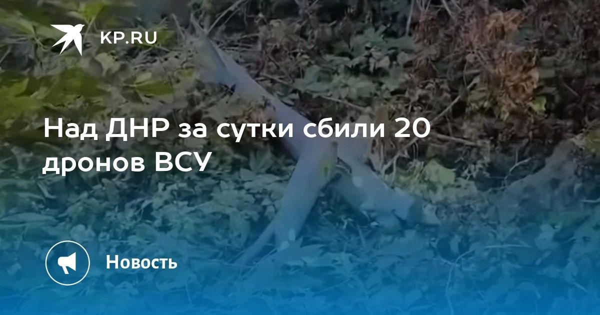 Над Донецкой Народной Республикой за сутки система «Купол Донбасса» и сводные мобильные огневые группы уничтожили 20 беспилотных летательных аппаратов противника