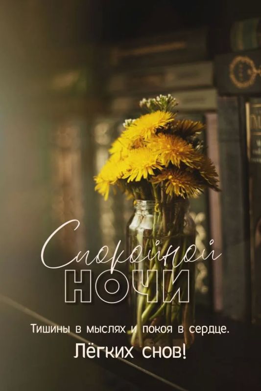 Доброй ночи!