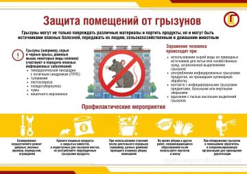 Защита помещений от грызунов