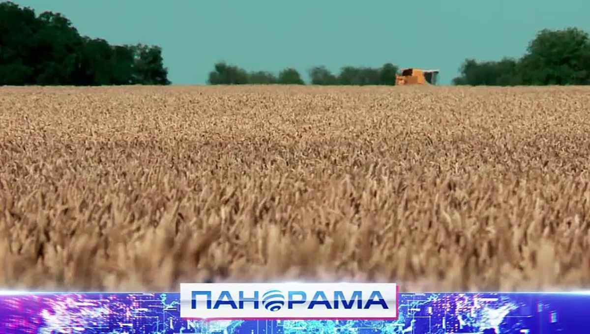 Уже сформировано 12 участков: могодетные семьи ДНР могут бесплатно получить землю