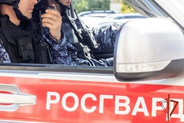В Хабаровском крае росгвардейцы задержали виновника ДТП на угнанном автомобиле