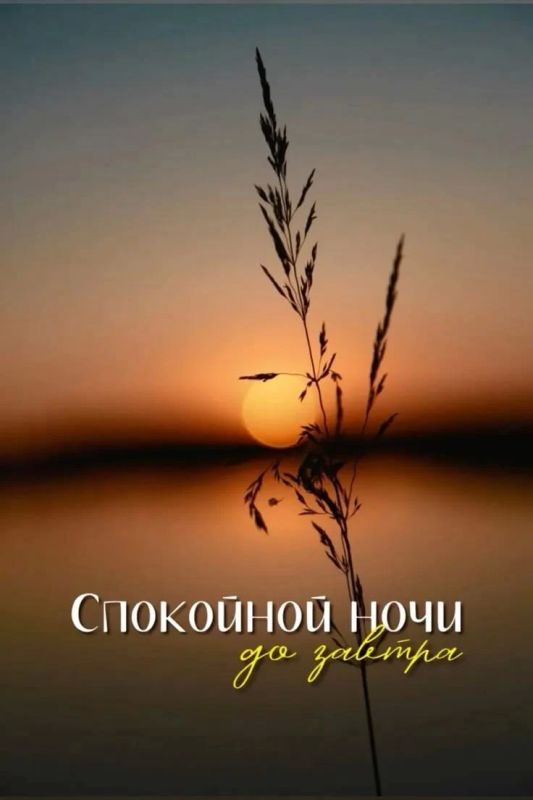 Доброй ночи!