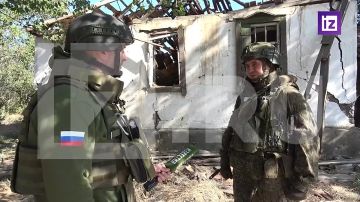 "Никто не хочет умирать": боевики ВСУ сдаются из-за отсутствия мотивации