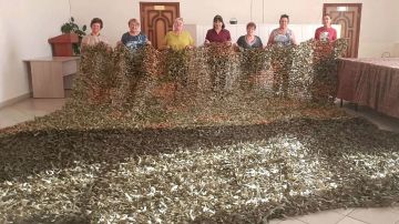 Активисты наших ТОСов каждый день доказывают: новооскольская земля богата людьми с огромным сердцем