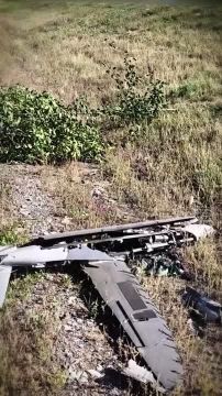 Сбитый сводными МОГами дрон "Hornet", которым украинские террористы пытались атаковать гражданские автомобили на участке дороги под Ждановкой