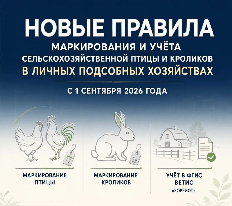 С 1 сентября 2026 года в России вступили в силу новые обязательные правила маркирования и учета сельскохозяйственной птицы и кроликов в личных подсобных хозяйствах (ЛПХ)