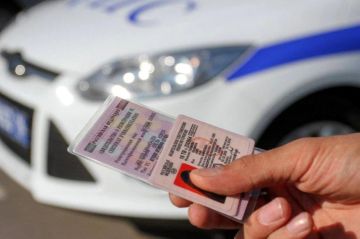 В МВД России рассказали, где можно получить водительские права после истечения срока их лишения