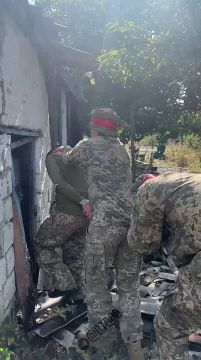 Поток пошел. Первые благоразумные ВСУшники, которые решили сохранить себе жизнь и вышли с поднятыми руками Доброполье Подписывайтесь на нас в MAX @btr80