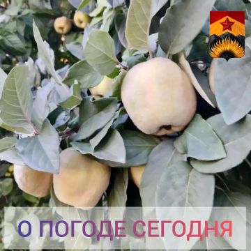 Александр Шатов: Гидрометцентр сообщил о погоде в Шахтерском округе
