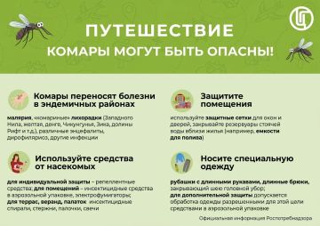 Путешествуйте безопасно: как защититься от укусов комаров