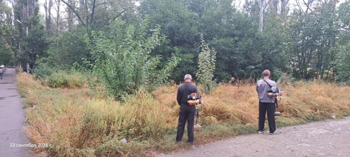 Елена Рязанцева: Управой Пролетарского внутригородского района сегодня ведутся работы по покосу травы, уборке мусора, очистке опор ЛЭП от объявлений по ул. Раздольная