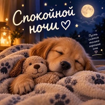 Желаем мягкой подушки, тёплого одеяла и самых красивых снов!