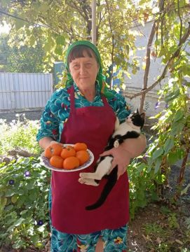 Золотая осень: время собирать плоды и радоваться жизни!