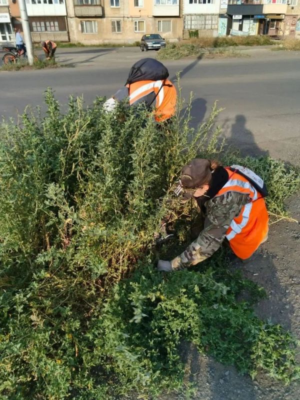 Коммунальщики Снежного продолжают благоустраивать территории общего пользования Коммунальщики Снежного продолжают благоустраивать территории общего пользования