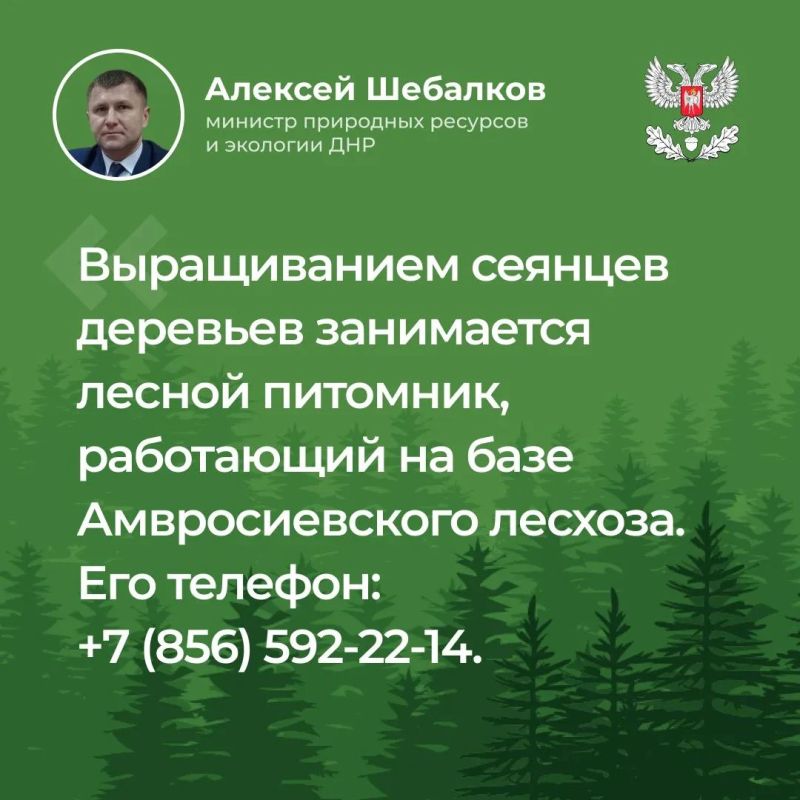 Итоги прямого эфира министра природных ресурсов и экологии ДНР Алексея Шебалкова Итоги прямого эфира министра природных ресурсов и экологии ДНР Алексея Шебалкова