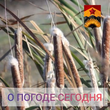 Александр Шатов: Гидрометцентр сообщил о погоде в Шахтерском округе