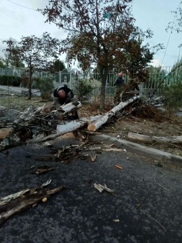 В «Уютном городе» рассказали о выполненных работах за 23 сентября В «Уютном городе» рассказали о выполненных работах за 23 сентября
