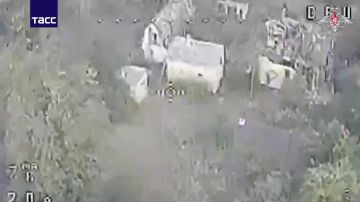 Кадры освобождения села Доброполье в ДНР
