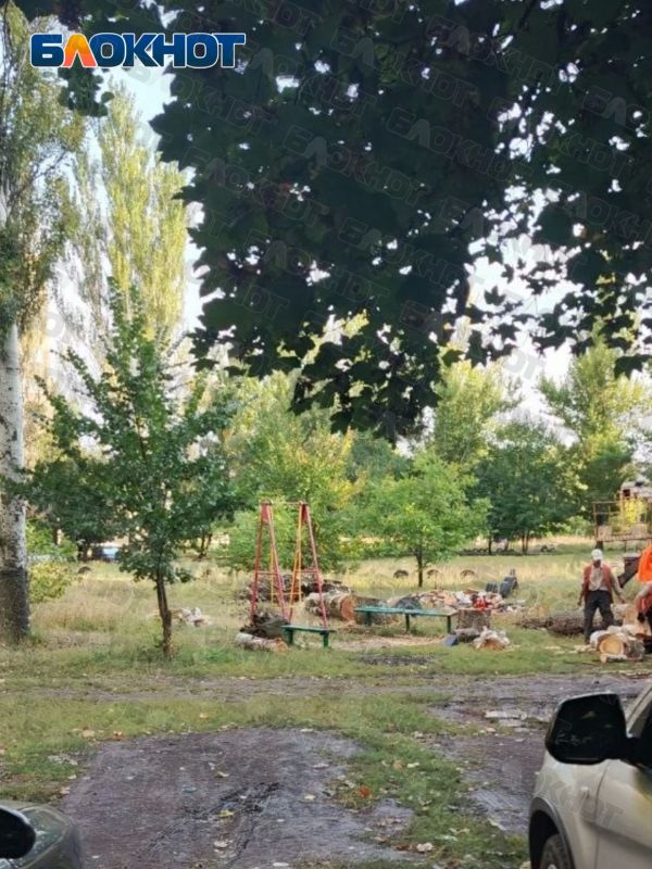 После публикации «Блокнот Донецк» в Горловке убрали аварийные деревья