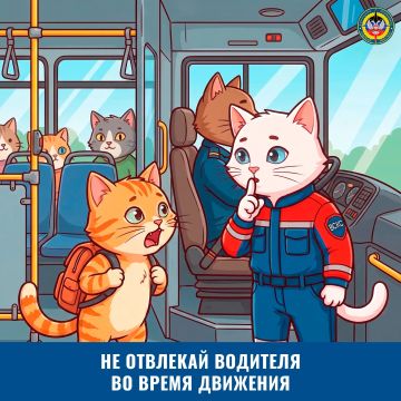 Дорога без риска!. Мы каждый день садимся в транспорт — и почти не задумываемся, что рутина может быть опасной