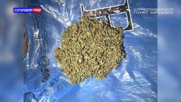 Изъято «вещество растительного происхождения»