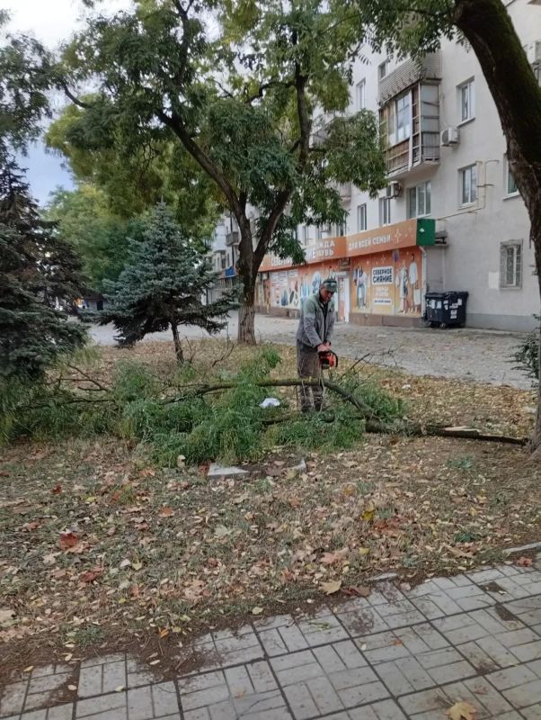 Антон Кольцов: Коммунальные службы приступили к ликвидации последствий вчерашней стихии Антон Кольцов: Коммунальные службы приступили к ликвидации последствий вчерашней стихии