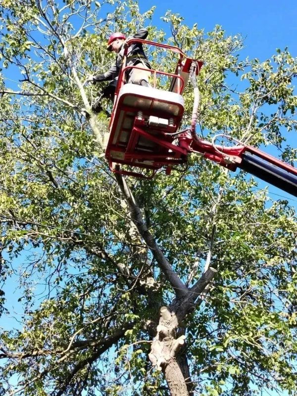 В Мариуполе продолжается работа по благоустройству территорий общего пользования В Мариуполе продолжается работа по благоустройству территорий общего пользования