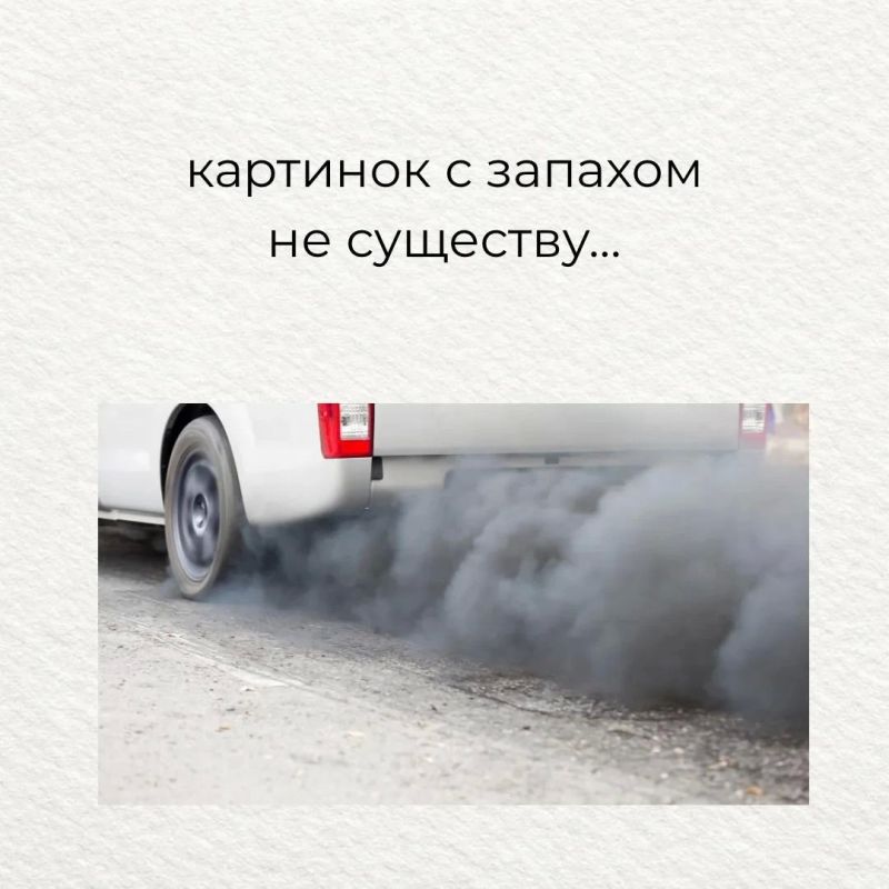 Коллеги из Минтранса Подмосковья решили доказать, что картинки с запахом всё-таки существуют — особенно в дорожно-транспортной теме Коллеги из Минтранса Подмосковья решили доказать, что картинки с запахом всё-таки существуют — особенно в дорожно-транспортной теме
