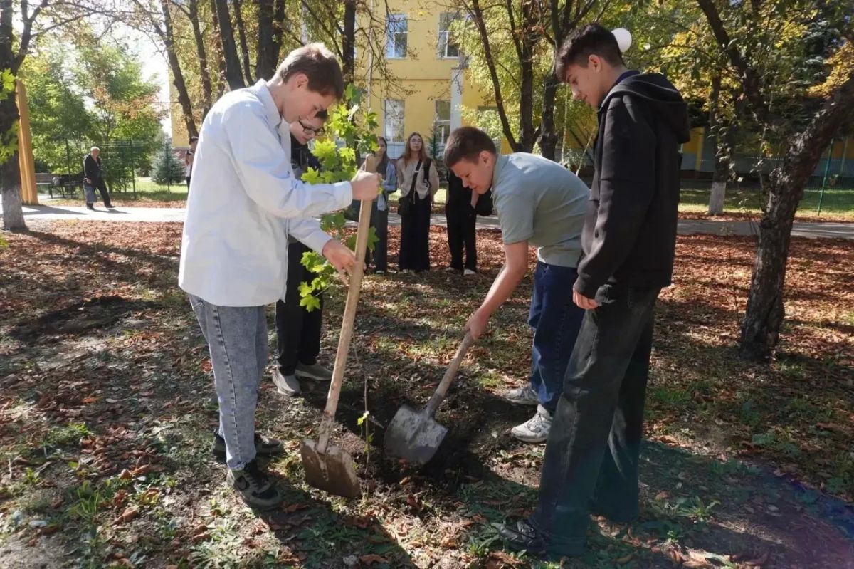 Посади своё дерево жизни. В Центральном парке Володарского прошла экологическая акция «Посади своё дерево жизни», инициированная единороссами Посади своё дерево жизни. В Центральном парке Володарского прошла экологическая акция «Посади своё дерево жизни», инициированная единороссами