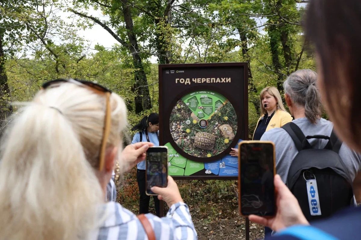 Новую экотропу открыли на Утрише ко Всемирному дню моря, она посвящена черепахе Никольского - единственной сухопутной черепахе в стране, которая обитает на узкой полосе Черноморского побережья, сообщили в пресс-службе фонда... Новую экотропу открыли на Утрише ко Всемирному дню моря, она посвящена черепахе Никольского - единственной сухопутной черепахе в стране, которая обитает на узкой полосе Черноморского побережья, сообщили в пресс-службе фонда...